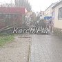 Дерево упало на пешеходную дорожку в Керчи