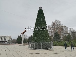 На площади у ДК «Корабел» почти собрали елку