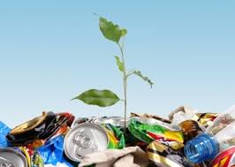 Госдума перенесла срок реализации «мусорной реформы» в Москве, Санкт-Петербурге и Севастополе
