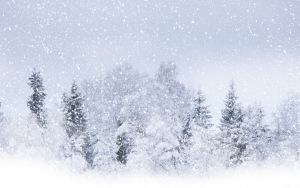 Штормовое предупреждение об угрозе схода снежных лавин на территории Республики Крым на 10-11 января