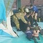Крымские спасатели провели операцию по спасению дельфинов в г. Алушта