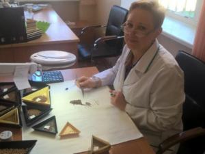 В Крыму 100% проанализированных семян соответствуют ГОСТу