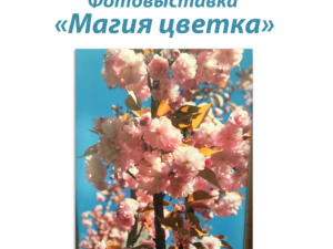 Фотовыставка «Магия цветка» откроется в Симферополе 7 марта