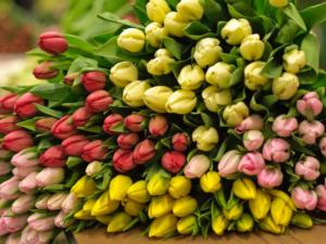 Роспотребнадзор дал мужчинам советы по выбору цветов к 8 марта