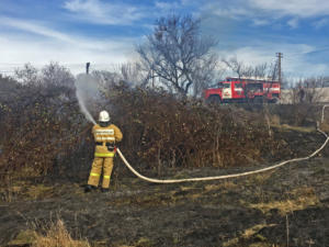 В МЧС Крыма обеспокоены большим количеством возгораний сухой растительности