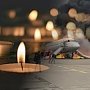 Спикер парламента Крыма выразил соболезнования в связи с крушением самолета в аэропорту «Шереметьево»