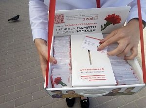 Волонтёры раздали значки в рамках благотворительной акции «Красная гвоздика» в Симферополе
