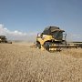 В Советском районе площади зерновых и зернобобовых культур будут увеличены до 40 тысяч га, минсельхоз