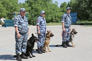 В МВД по Республике Крым поздравили с юбилеем службы полицейских-кинологов