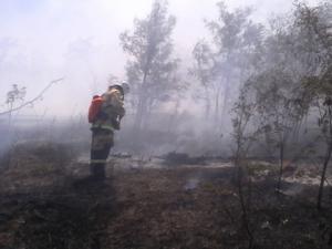 Сотрудники МЧС ликвидировали лесной пожар на южном склоне горы Эчки-Даг