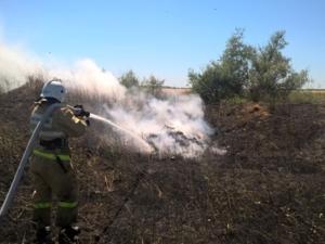 Пожарные потушили пожар на поле пшеницы в Кировском районе