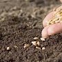 «Россельхозцентр» провёл в Крыму апробацию семенных посевов