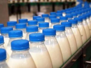 Изменены правила расположения молочной продукции в торговых местах, — Роспотребнадзор