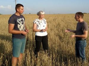 В Первомайском районе уже собрано более 61 тысяча тонн зерна
