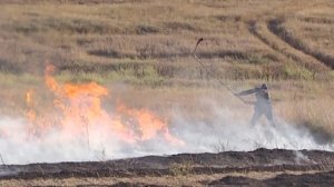 За выходные дни в Крыму ликвидировано 37 пожаров