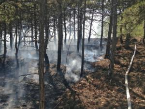 За прошедшие три дня крымские огнеборцы потушили 28 пожаров сухой травы