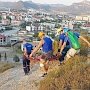 Спасатели сняли 78-летнюю «альпинистку» с Сахарной Головки в Судаке