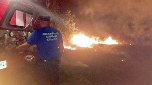 2 сентября крымские огнеборцы ликвидировали 29 очагов возгорания сухой травы