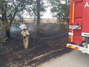 За минувшие сутки в Крыму зафиксировано 4 природных пожара