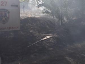 Один гектар лесополосы горел в Советском районе