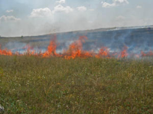 МЧС: Неосторожное обращение с огнем при приготовлении пищи на мангале стали причиной пожара в Орджоникидзе