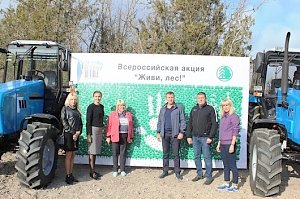 В Белогорском районе высадили деревья в рамках акции «Сохраним лес»
