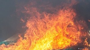 Под Симферополем разрастается лесной пожар