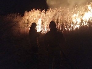 Крымские спасатели ликвидировали 22 возгорания в разных районах полуострова