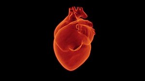 Как распознать воспаление сердечной мышцы и избежать миокардита