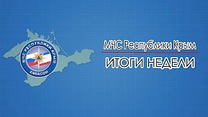 Сотрудники МЧС спасли в Крыму 10 человек