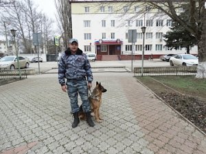 В Саках служебная собака Флаффи привела полицейских к магазину, куда подозреваемый сдал похищенный электроинструмент