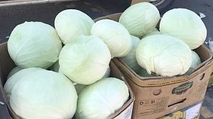 Крымские аграрии начали доставлять продукты одиноким гражданам на дом