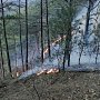 За неделю крымские огнеборцы ликвидировали 159 пожаров