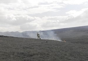 В Симферопольском районе выгорело 5 гектар сухой травы