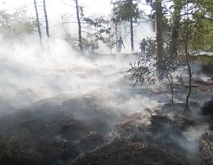 В Крыму за сутки потушили 7 пожаров