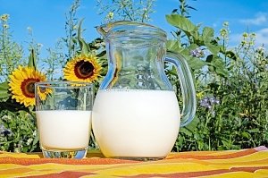 В Феодосии предложили вернуть молочные кухни