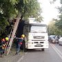 В столице Крыма на «КАМАЗ» рухнуло дерево, заблокировав движение на ул. Маяковского