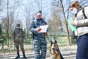 Власти Симферополя попросили полицию возобновить патрулирование в парках