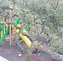 В Ореанде на детскую площадку рухнула часть дерева