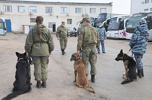 Полицейские кинологи вместе с сотрудниками Севастопольской таможни провели совместную тренировку служебных собак