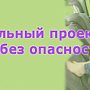 В Севастополе начинается реализация федерального проекта «Детство без опасности», направленного на обучение родителей правилам перевозки детей