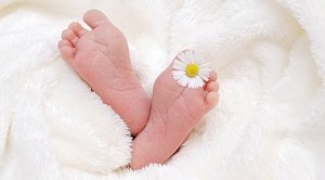 Крымчане называли новорожденных в прошлом году именами Радость и Канакада