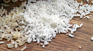 Крымские аграрии запланировали начать производство риса уже в этом году