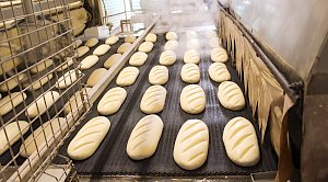 Производителям хлеба в Крыму решили помочь деньгами из бюджета