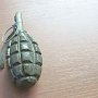 Охрана минтранса нашла у въезжающих в Крым две гранаты и боеприпасы