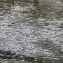Сильные дожди ожидаются в Крыму в ближайшие два дня