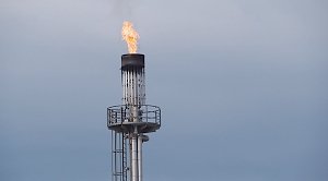 Экс-премьер Польши заявил о «лавине отчаянных сообщений» из-за роста цен на газ