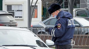 ЛДПР предлагает смягчить наказание за отсутствие у водителя документов на машину