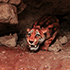 Пещера «Таврида» отмечает пятилетие