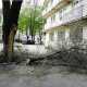 В Севастополе ураган повалил больше 50 деревьев